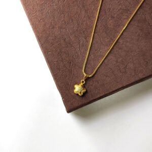 Star Pendant Necklaces Five Pointed Simple Gold Plated Teenage Fashion Jewellery with Very Nice Box Chain for College Girls and Young Women